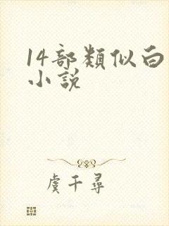 14部类似白洁小说封面