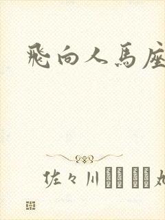 飞向人马座封面