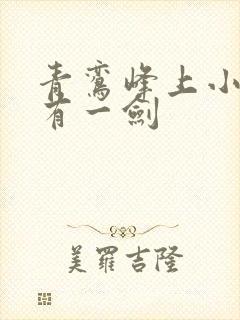 青鸾峰上小说我有一剑