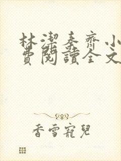 林洁秦齐小说免费阅读全文最新章节