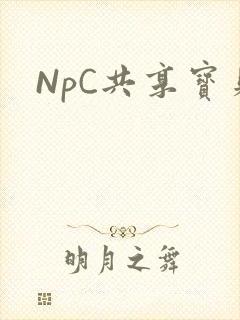 NpC共享宝贝