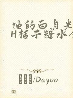 他的白月光HVH桔子糖水全文