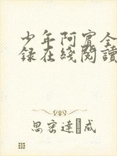 少年阿宾全文目录在线阅读