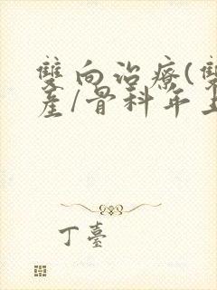 双向治疗(双/产/骨科年上)