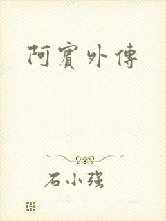 阿宾外传