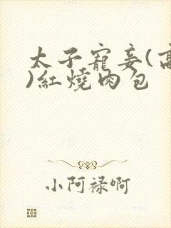 太子宠妾(高肉)红烧肉包