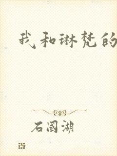 我和琳梵的故事