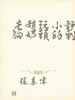 老赵玩小静揉捏胸奶头的刺激小说