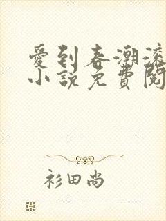 爱到春潮滚滚来小说免费阅读