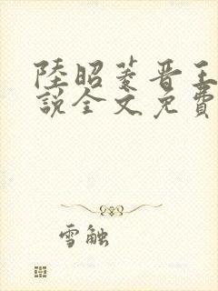 陆昭菱晋王的小说全文免费阅读