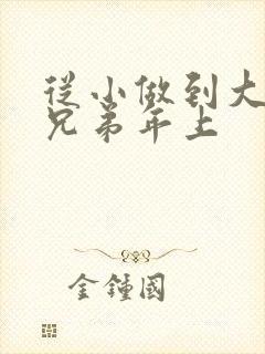 从小做到大骨科兄弟年上