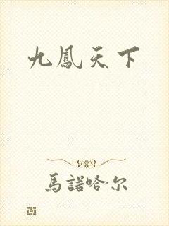 九凤天下封面
