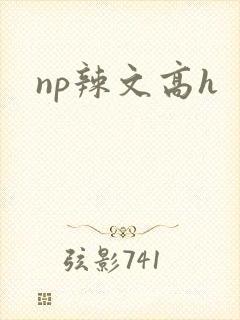 np辣文高h