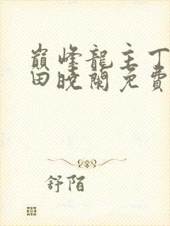 巅峰龙主丁长顺田晓兰免费阅读