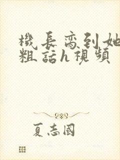 机长脔到她哭h粗话h视频