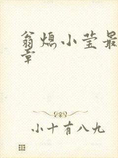 翁熄小莹最新节章封面