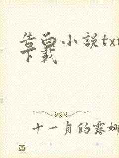 告白小说txt下载