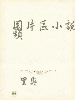 图片区小说区视频