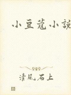 小豆蔻小说