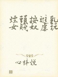 烟头按进乳头m女贱奴虐玩训诫调教小说封面