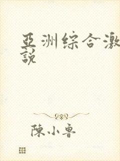 亚洲综合激情小说封面