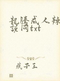 龙腾成人辣文小说网txt
