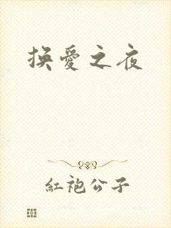 换爱之夜封面