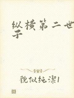 纵横第二世界宽子