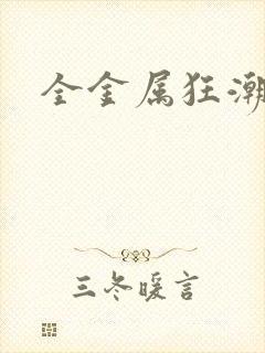 全金属狂潮小说