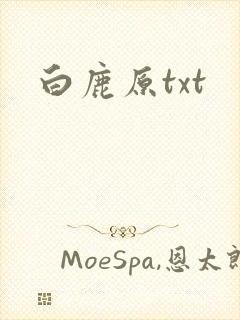 白鹿原txt