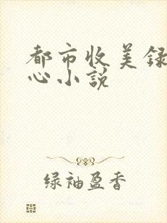 都市收美录宁素心小说