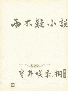 两不疑小说封面