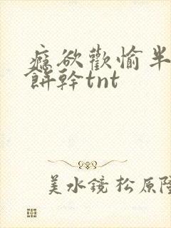 瘾欲欢愉半块小饼干tnt