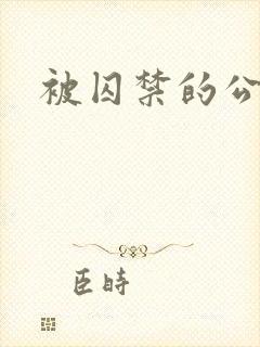 被囚禁的公主封面