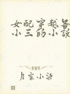 女配穿越各个做小三的小说