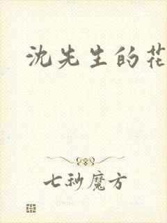 沈先生的花式调