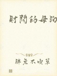 财阀的母狗们