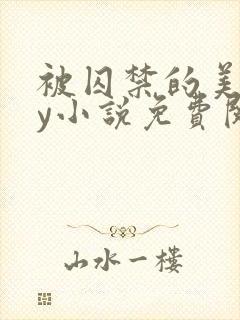 被囚禁的美人by小说免费阅读