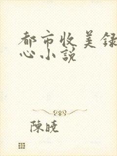 都市收美录宁素心小说