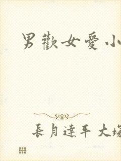 男欢女爱小说封面