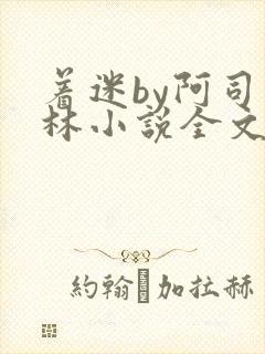 着迷by阿司匹林小说全文免费阅读无广告