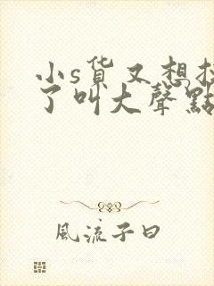 小s货又想挨c了叫大声点