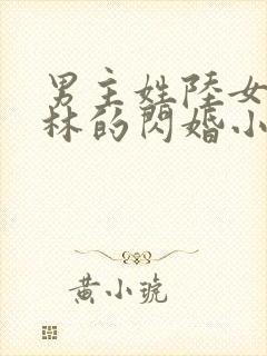 男主姓陆女主姓林的闪婚小说