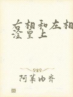 右相和左相一起淦皇上