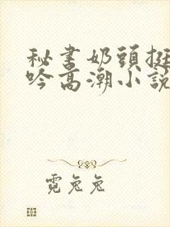 秘书奶头挺立呻吟高潮小说