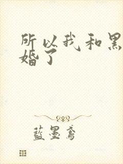 所以我和黑粉结婚了封面
