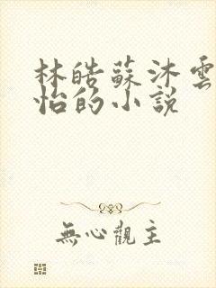 林皓苏沐云李静怡的小说