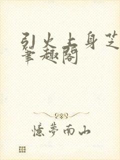 引火上身芝麻糖笔趣阁