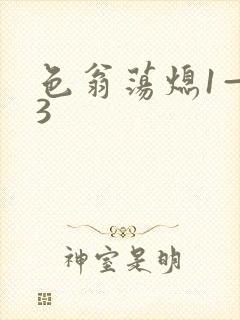 色翁荡熄1—13封面