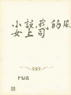 小说,我的风情女上司